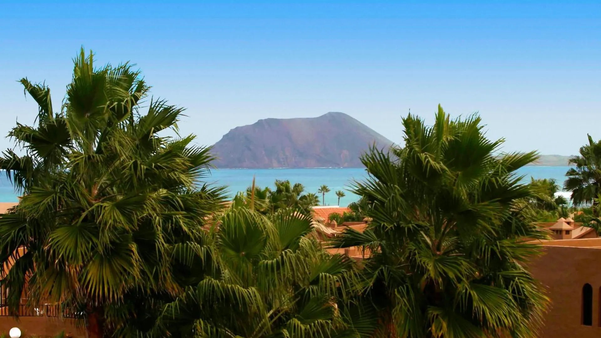 Playa Y Palmera コラレホ スペイン