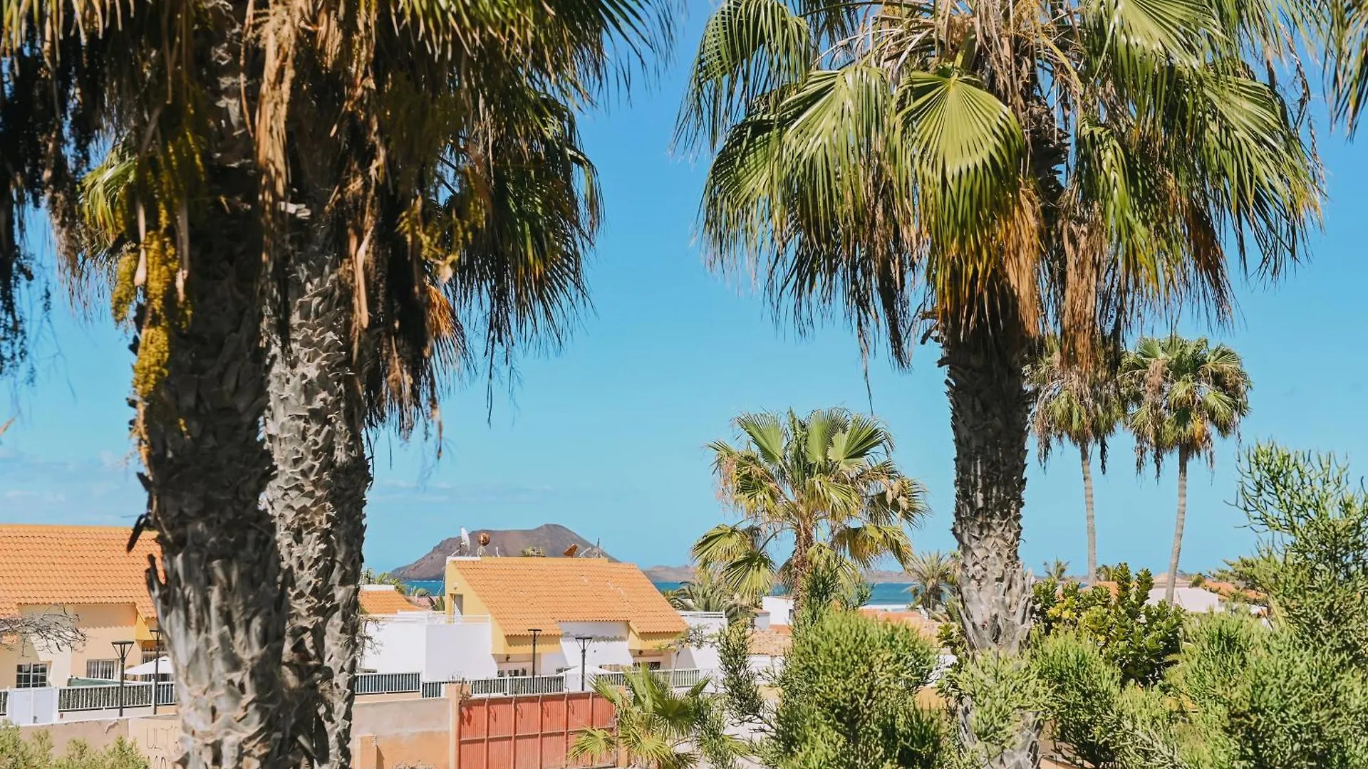 Playa Y Palmera コラレホ スペイン