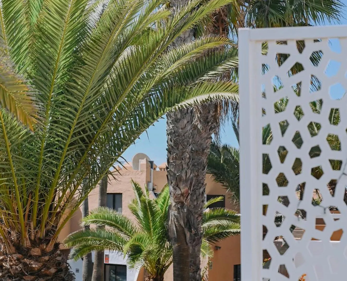 Playa Y Palmera コラレホ アパート